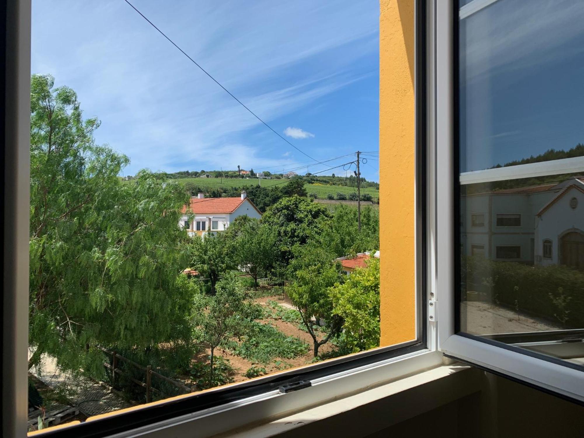 Quinta Ribeira Do Labrador - Lisbon West Wine Route Villa Alenquer Room photo